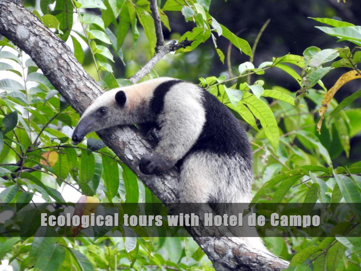 Hotel De Campo Cano Negro Ngoại thất bức ảnh