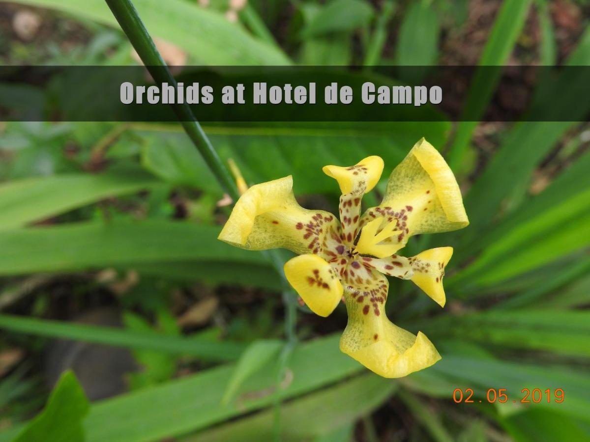 Hotel De Campo Cano Negro Ngoại thất bức ảnh