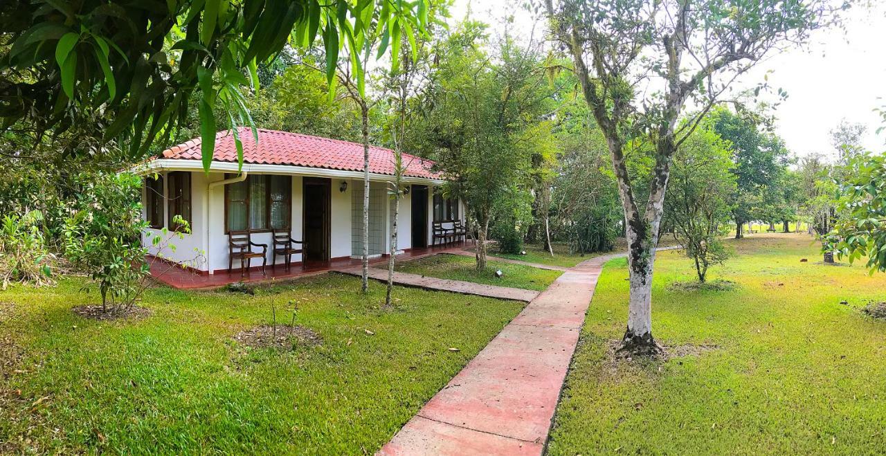 Hotel De Campo Cano Negro Ngoại thất bức ảnh